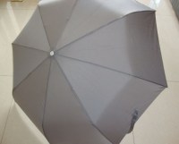 зонт11